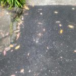 Before Image of Asphalt Patch Repair & Crack Sealing for a Private Client in Beecroft, NSW